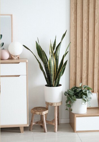 a57200c5 image 1.jpg